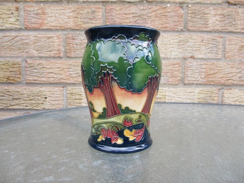 Moorcroft evening sky - ,