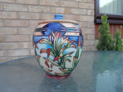 Moorcroft indian paintbrush - indian,