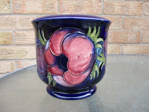Moorcroft anemone blue - on,