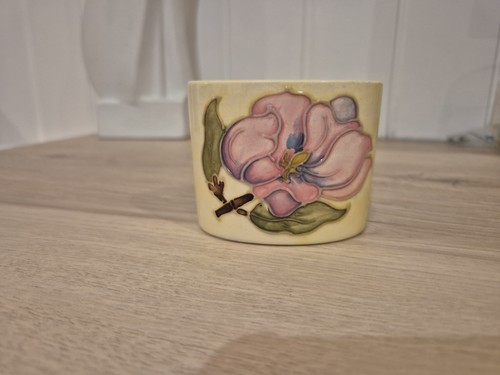Moorcroft anemone on - anemone,