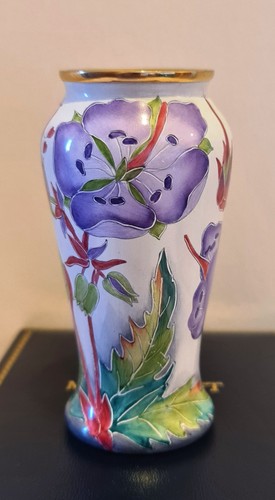 Moorcroft meadow cranesbill - moorcroft,