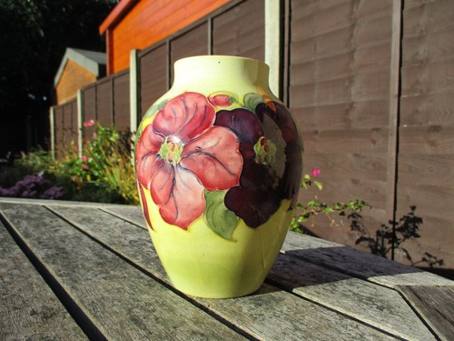 Moorcroft clematis on - clematis,